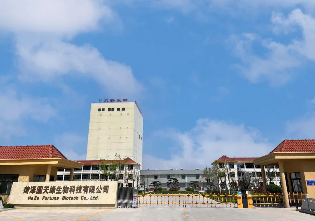 南宫28·NG娱乐(中国区)官方网站